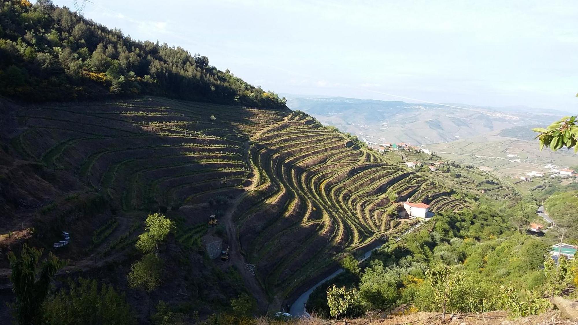 Villa Casa Da Quinta Do Porto Lamego Esterno foto