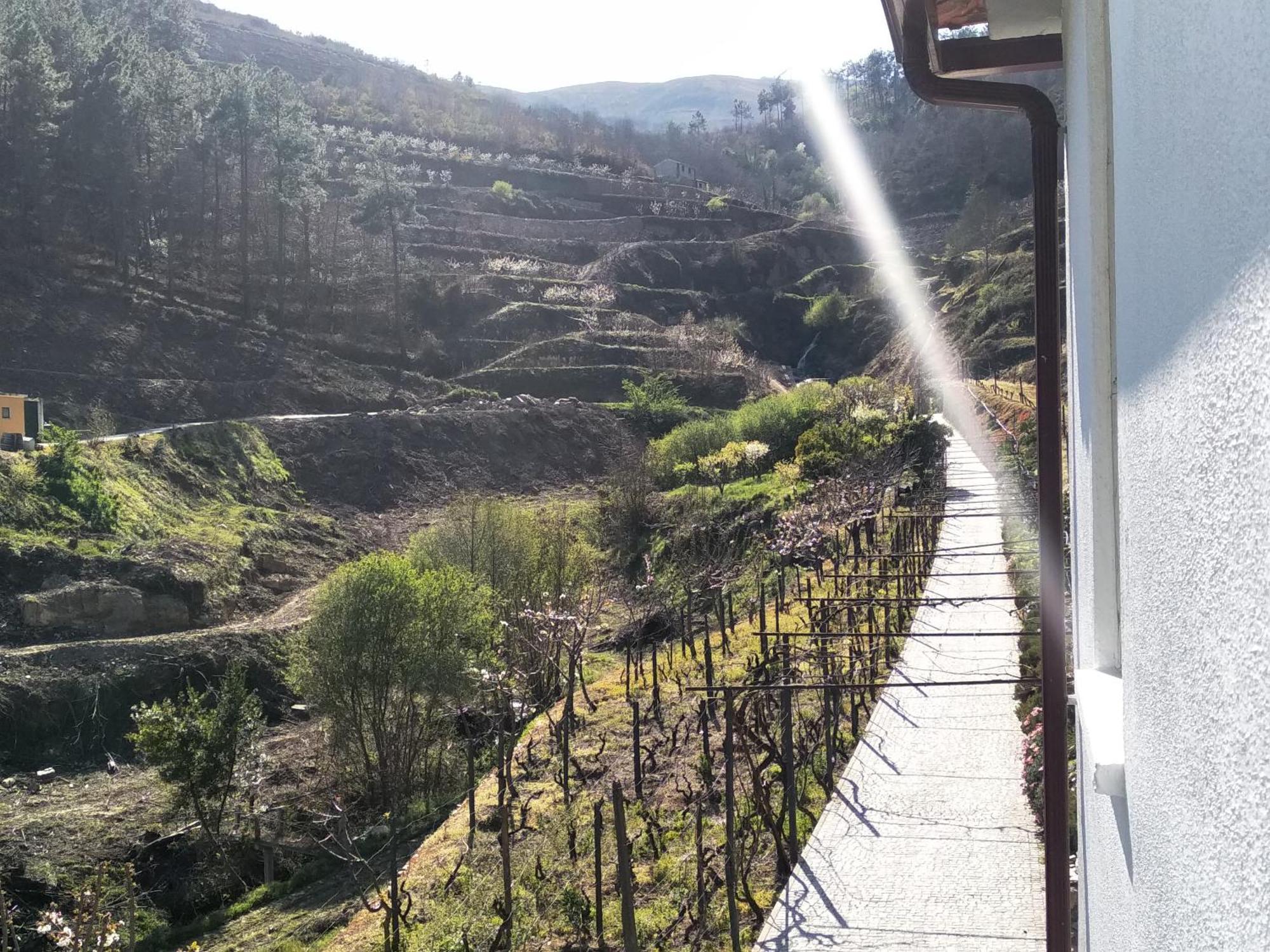Villa Casa Da Quinta Do Porto Lamego Esterno foto