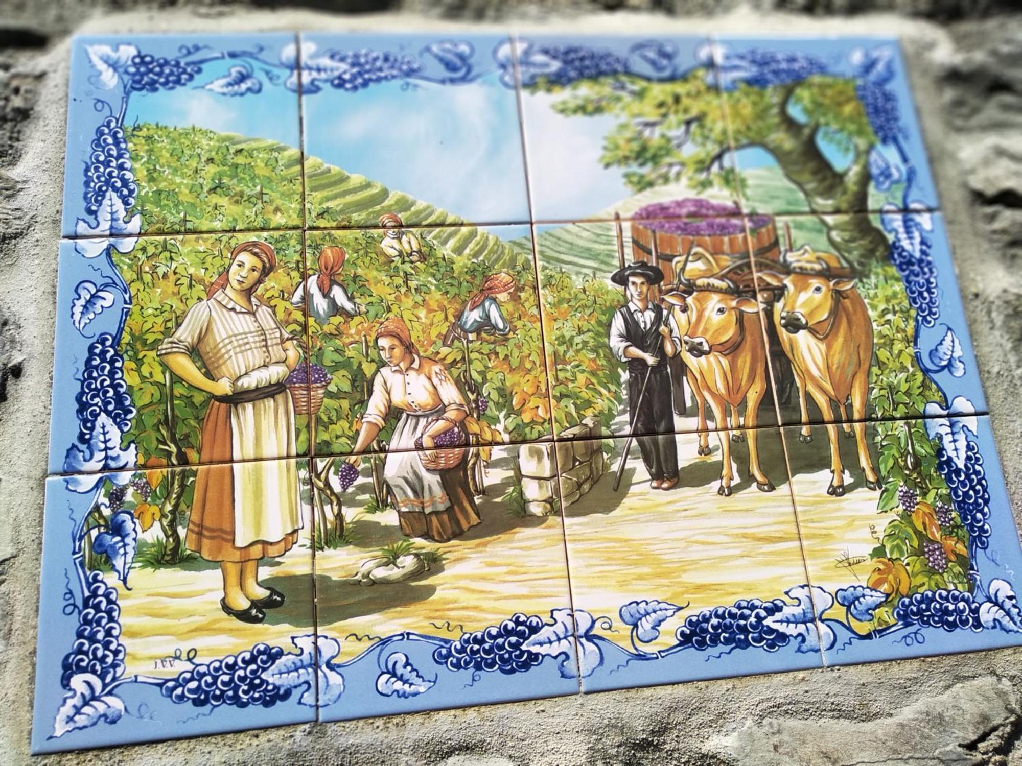 Villa Casa Da Quinta Do Porto Lamego Esterno foto