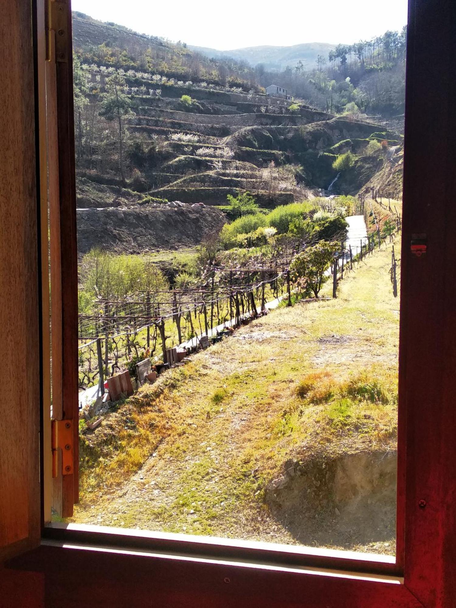 Villa Casa Da Quinta Do Porto Lamego Esterno foto