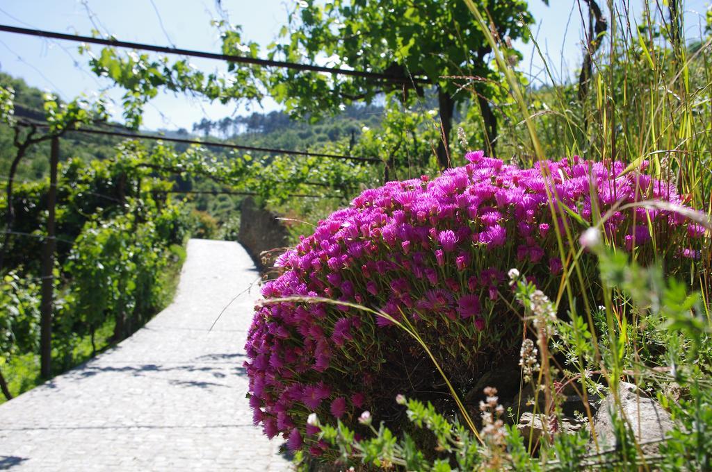 Villa Casa Da Quinta Do Porto Lamego Esterno foto