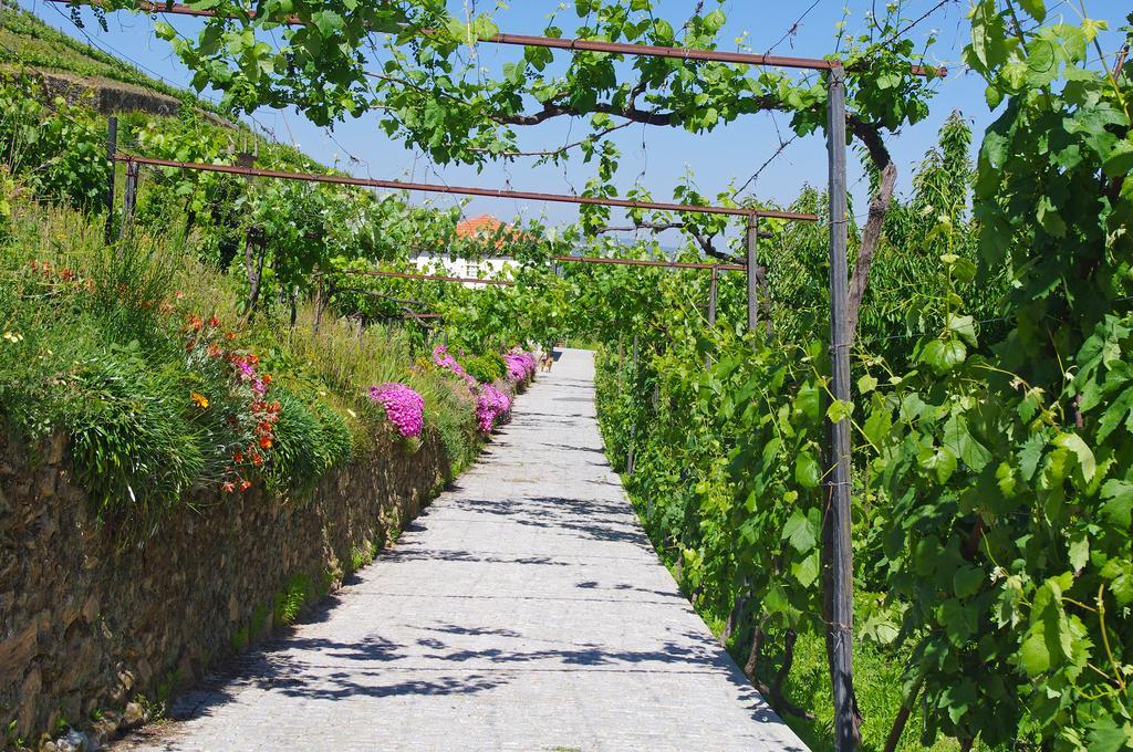 Villa Casa Da Quinta Do Porto Lamego Esterno foto