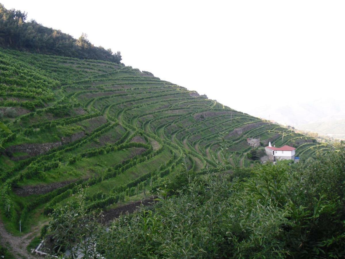 Villa Casa Da Quinta Do Porto Lamego Esterno foto